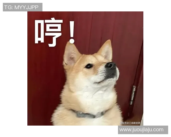 足球明星与可爱狗狗亲密合影展现温馨瞬间的完美头像选择