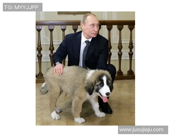 足球明星与爱犬的温馨时刻精彩视频分享让你感受他们的深厚情谊